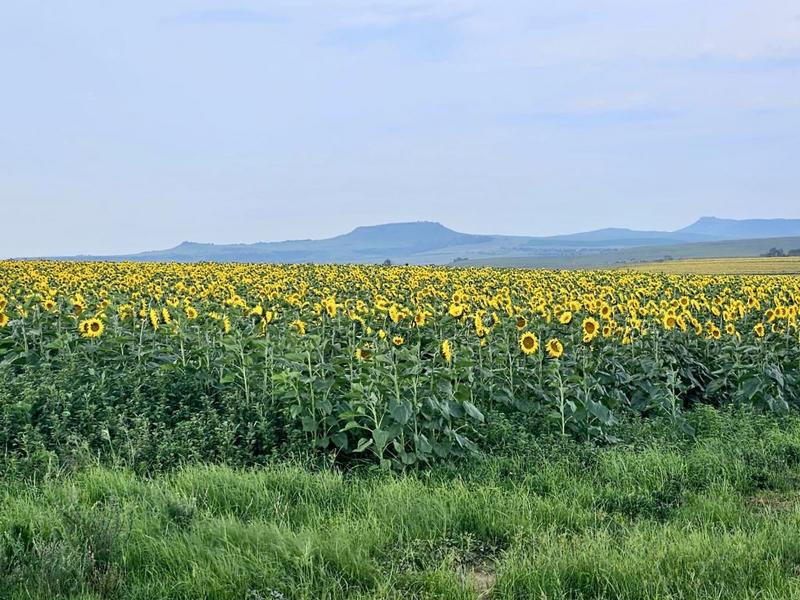 0 Bedroom Property for Sale in Bethlehem Rural Free State